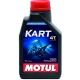 Motul Kart 4T 10W40